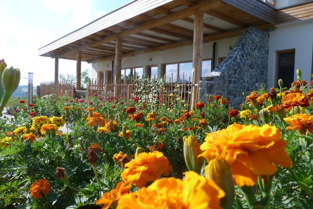 Guest House Eco Vila Mila Rogaška Slatina Dış mekan fotoğraf
